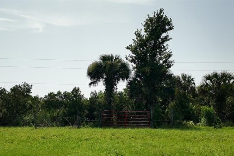 Terrain à vendre à Osteen, Floride № 2206738 - photo 8