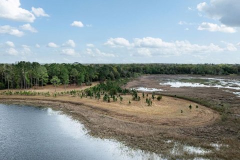 Купить земельный участок в Уматилла, Флорида № 2149551 - фото 7