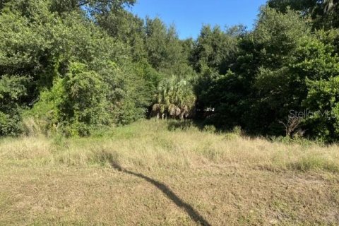 Terreno en venta en Eustis, Florida № 1547197 - foto 3