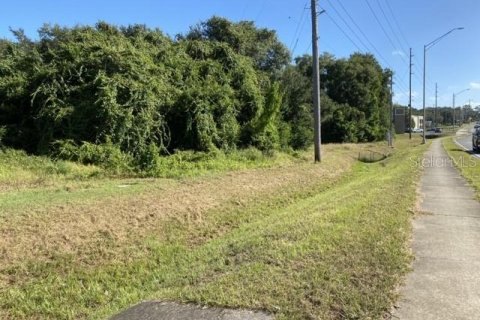 Terreno en venta en Eustis, Florida № 1547197 - foto 1