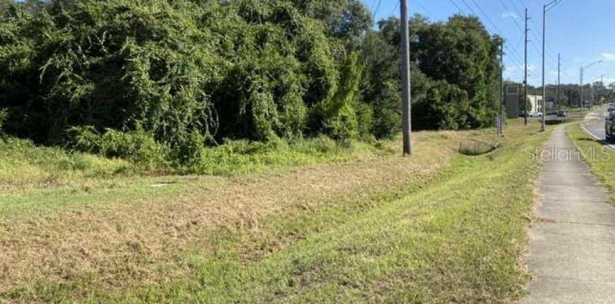 Terreno en Eustis, Florida № 1547197