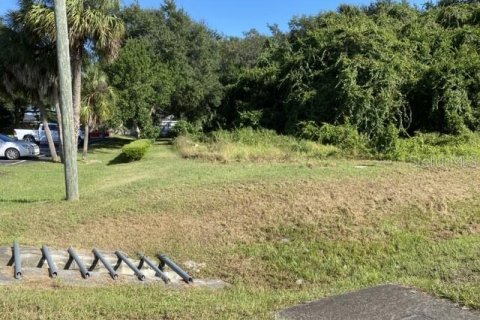 Terreno en venta en Eustis, Florida № 1547197 - foto 2