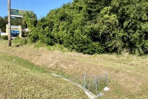 Terreno en venta en Eustis, Florida № 1547197 - foto 4