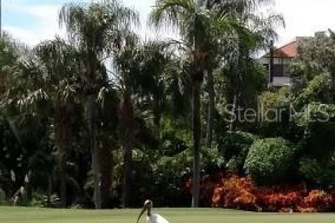 Condominio en alquiler en Saint Petersburg, Florida, 2 dormitorios, 82.68 m2 № 999579 - foto 2