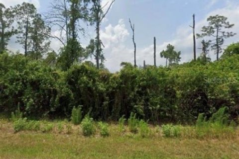 Land in Sebring, Florida № 2376817