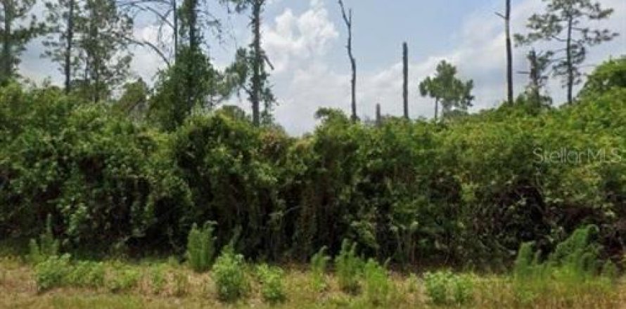 Land in Sebring, Florida № 2376817