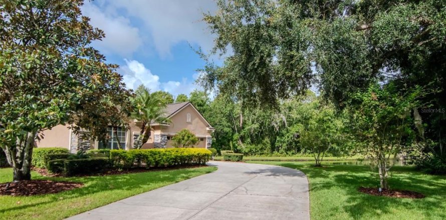 House in Tampa, Florida 5 bedrooms, 345.6 sq.m. № 1826658