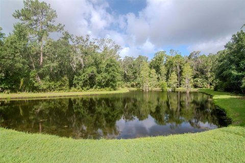 House in Tampa, Florida 5 bedrooms, 345.6 sq.m. № 1826658 - photo 6