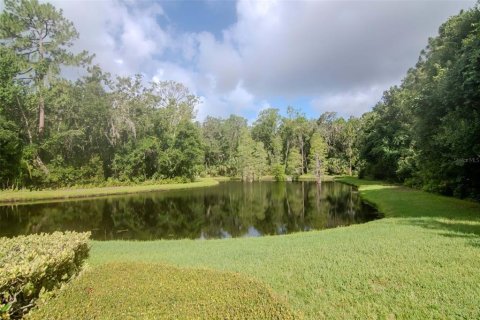 House in Tampa, Florida 5 bedrooms, 345.6 sq.m. № 1826658 - photo 7