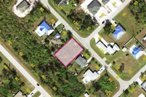 Land in Port Charlotte, Florida № 2231704 - photo 2