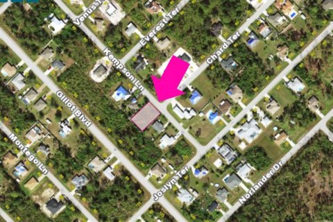Land in Port Charlotte, Florida № 2231704 - photo 3