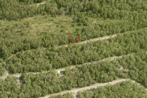 Land in Dunnellon, Florida № 2213966 - photo 6