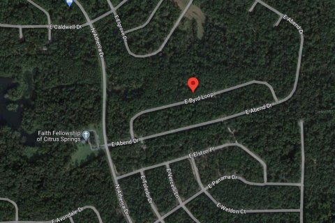 Land in Dunnellon, Florida № 2213966 - photo 3