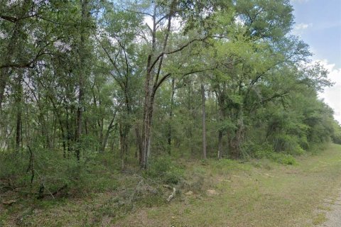 Land in Dunnellon, Florida № 2213966