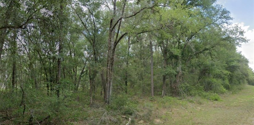 Land in Dunnellon, Florida № 2213966