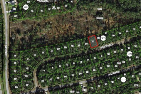 Land in Dunnellon, Florida № 2213966 - photo 5