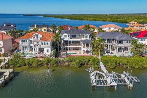 Villa ou maison à vendre à Tampa, Floride: 5 chambres, 586.21 m2 № 2101535 - photo 11