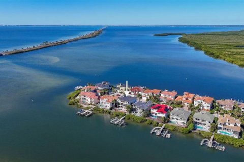 Villa ou maison à vendre à Tampa, Floride: 5 chambres, 586.21 m2 № 2101535 - photo 12