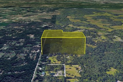 Land in Geneva, Florida № 1666529 - photo 10