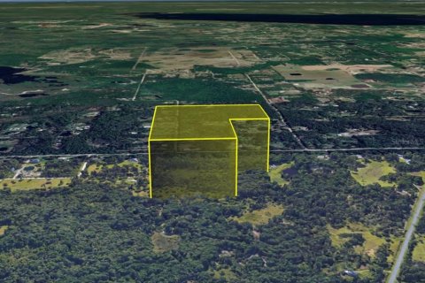 Land in Geneva, Florida № 1666529 - photo 2