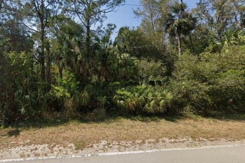 Land in Geneva, Florida № 1666529 - photo 6