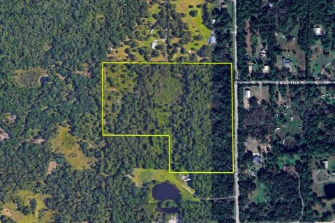 Land in Geneva, Florida № 1666529 - photo 4