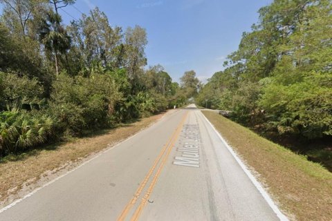 Land in Geneva, Florida № 1666529 - photo 7