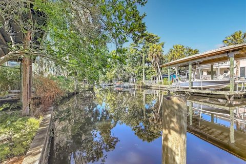 Casa en venta en Crystal River, Florida, 3 dormitorios, 185.62 m2 № 2302867 - foto 11