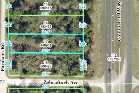 Land in Weeki Wachee, Florida № 941692 - photo 1