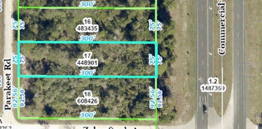 Land in Weeki Wachee, Florida № 941692