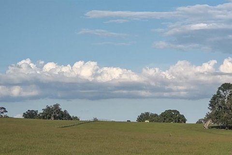 Terrain à vendre à Inverness, Floride № 2092217 - photo 6