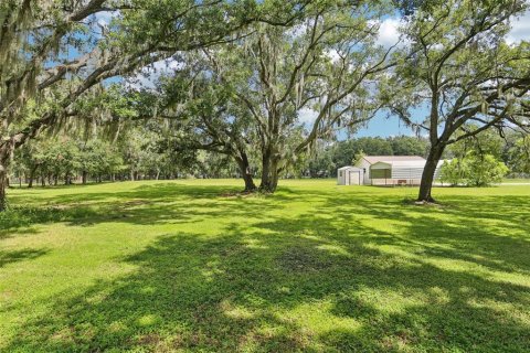 House in Plant City, Florida 4 bedrooms, 262.17 sq.m. № 1876195 - photo 3