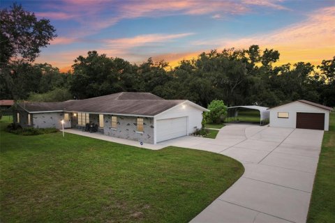House in Plant City, Florida 4 bedrooms, 262.17 sq.m. № 1876195 - photo 1