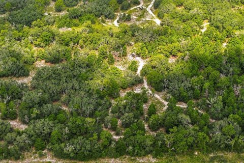 Terrain à Spring Hill, Floride № 2230815