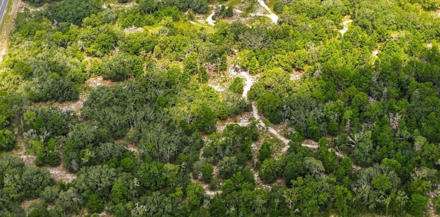 Terrain à Spring Hill, Floride № 2230815