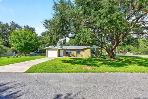 Villa ou maison à vendre à Fruitland Park, Floride: 3 chambres, 95.32 m2 № 2386027 - photo 21