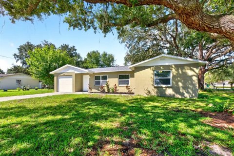 Villa ou maison à Fruitland Park, Floride 3 chambres, 95.32 m2 № 2386027