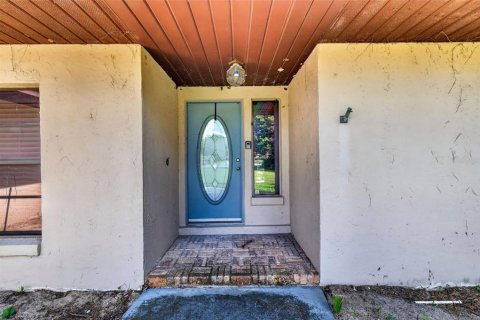 Villa ou maison à vendre à Mount Dora, Floride: 3 chambres, 177.26 m2 № 2324038 - photo 7