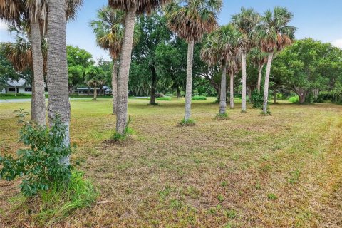 Land in Mount Dora, Florida № 1905862 - photo 7