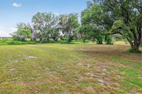 Land in Mount Dora, Florida № 1905862 - photo 6