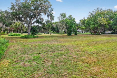 Land in Mount Dora, Florida № 1905862 - photo 5