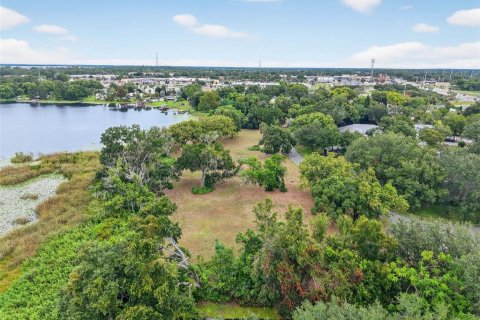 Land in Mount Dora, Florida № 1905862 - photo 14