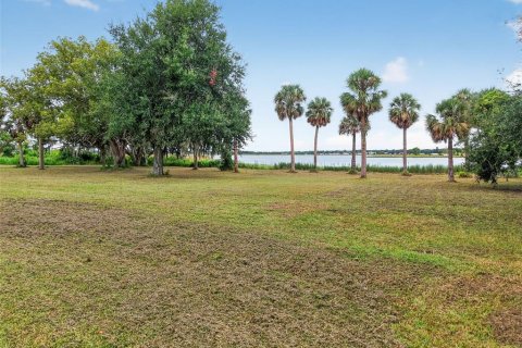 Land in Mount Dora, Florida № 1905862 - photo 4