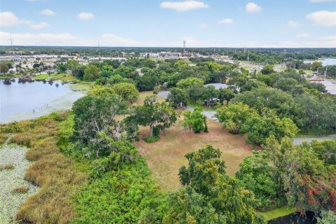 Land in Mount Dora, Florida № 1905862 - photo 13