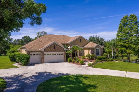 Villa ou maison à vendre à Tampa, Floride: 4 chambres, 267.84 m2 № 1827145 - photo 2