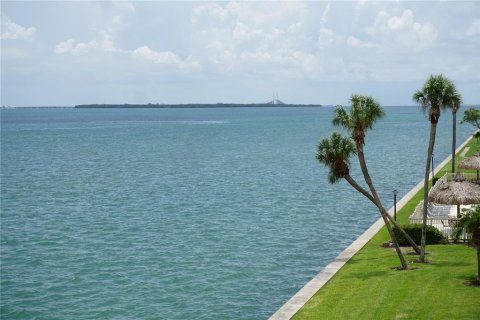 Condo in Tierra Verde, Florida, 2 bedrooms  № 1846471 - photo 6