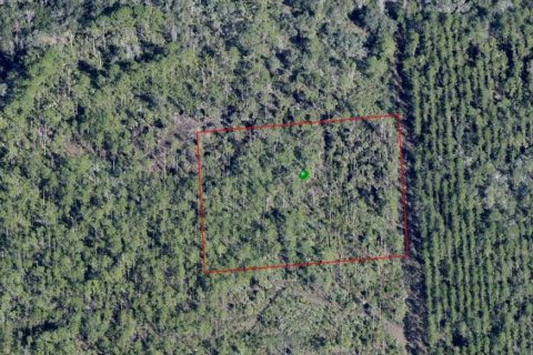 Land in Osteen, Florida № 2159095