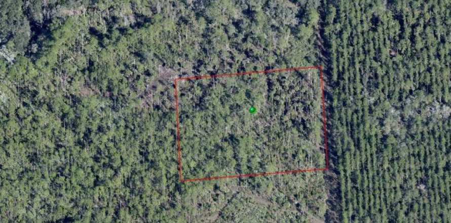 Land in Osteen, Florida № 2159095