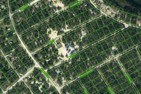 Land in Lake Placid, Florida № 2209122