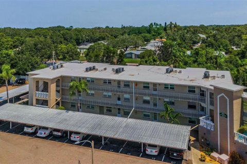 Condo in Dunedin, Florida, 2 bedrooms  № 1775102 - photo 12